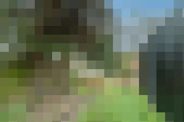 Lansinkesweg 22 Hengelo thumbnail 19