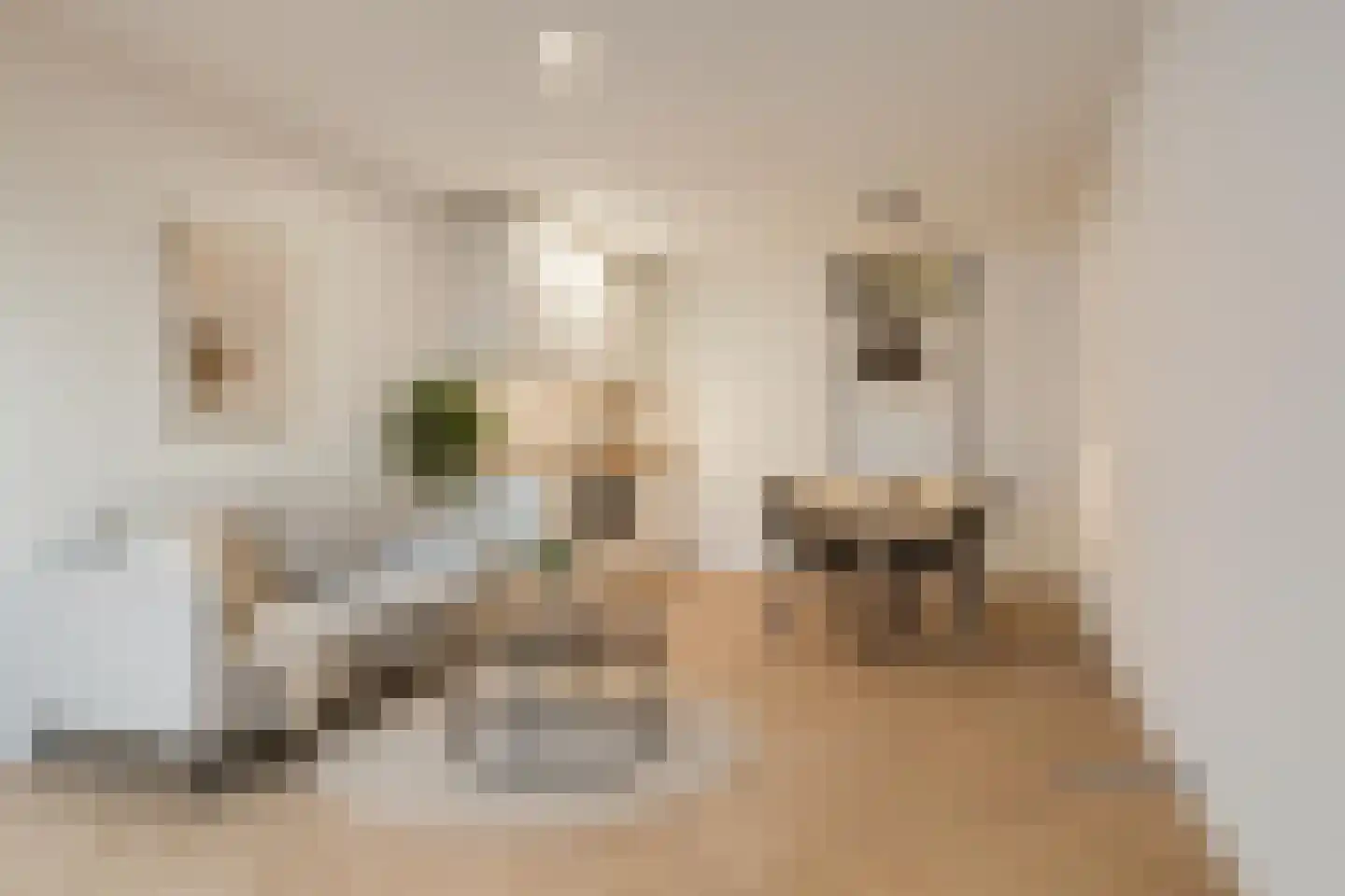 Lansinkstraat 78 Haaksbergen thumbnail 5