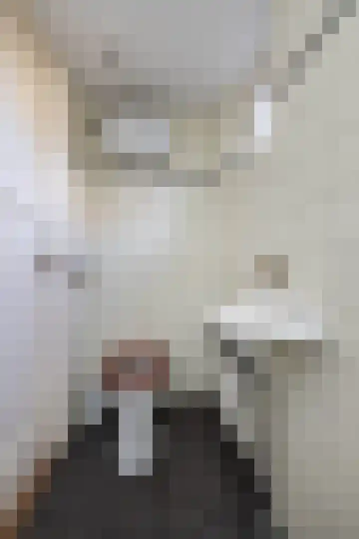 Lansinkweg 10 Hengelo thumbnail 12