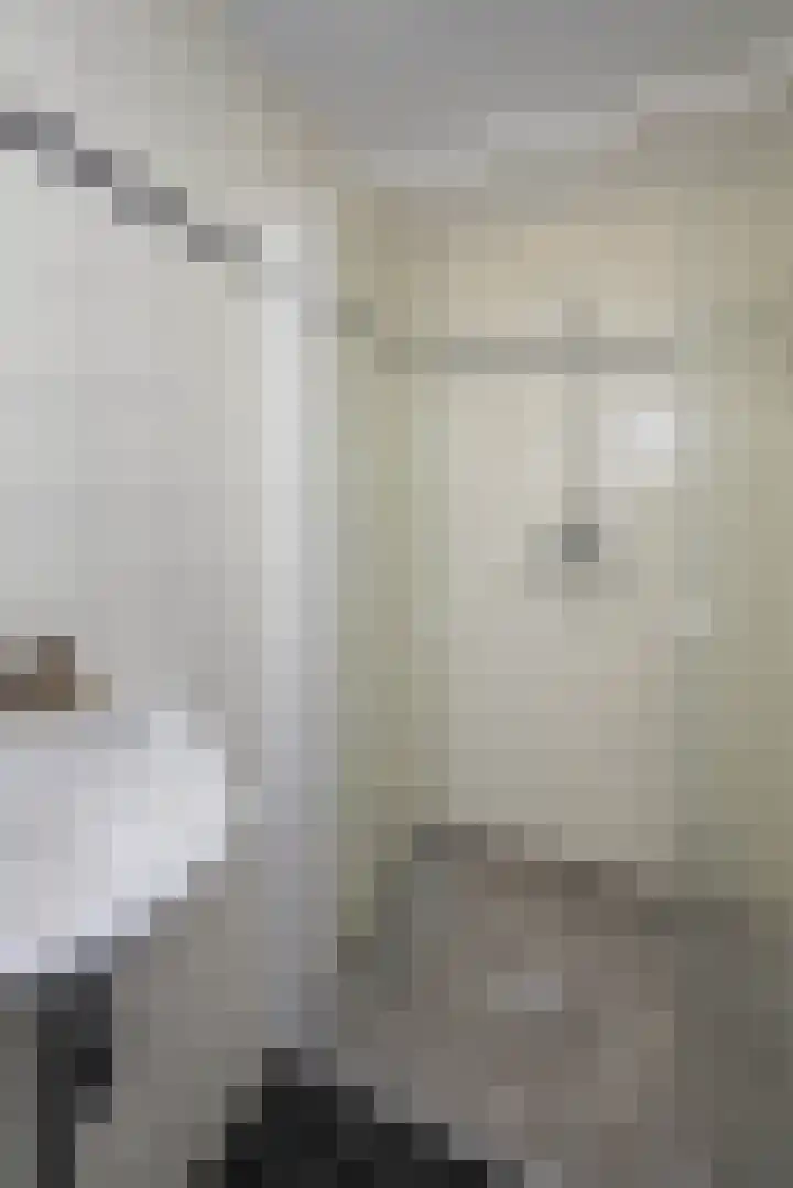 Lansinkweg 10 Hengelo thumbnail 13