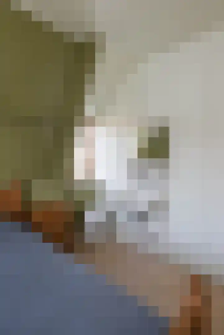 Lansinkweg 10 Hengelo thumbnail 17