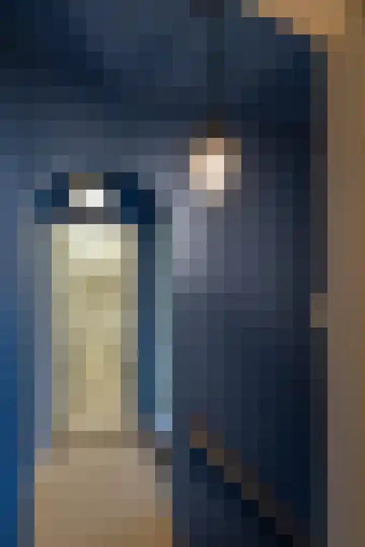 Lansinkweg 10 Hengelo thumbnail 21