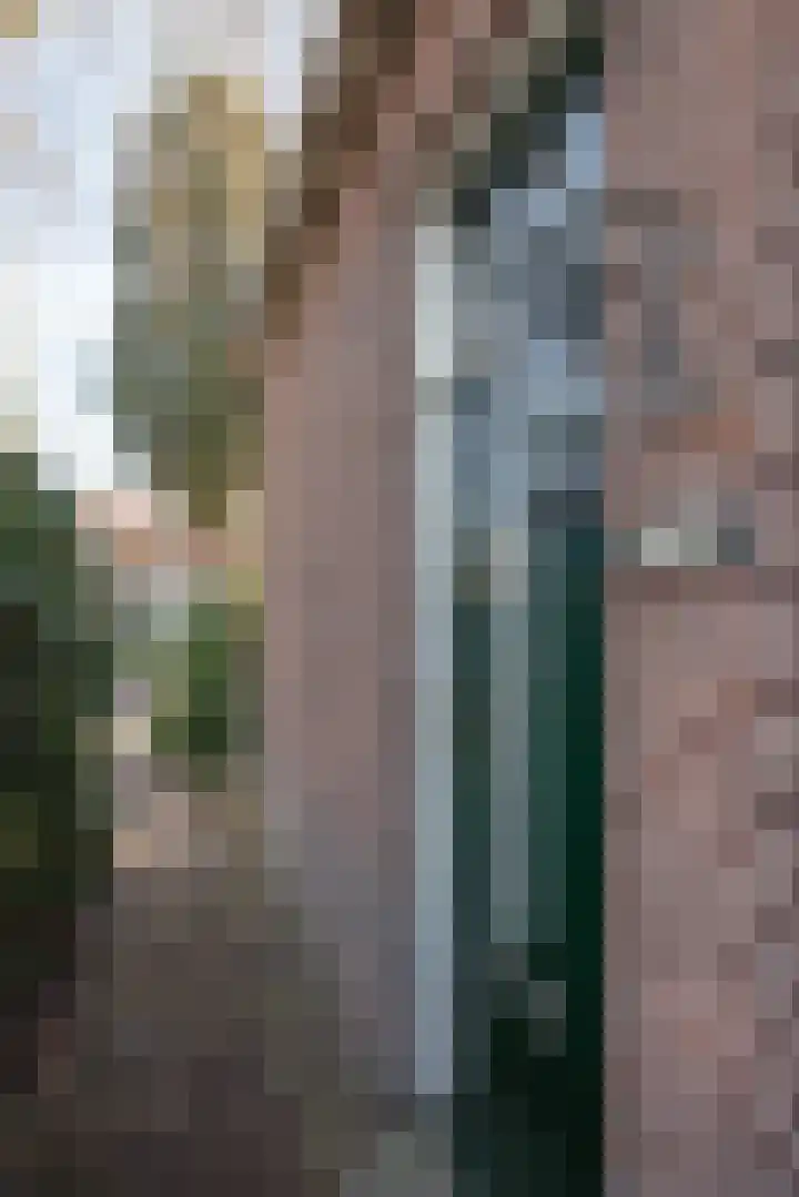 Lansinkweg 10 Hengelo thumbnail 26