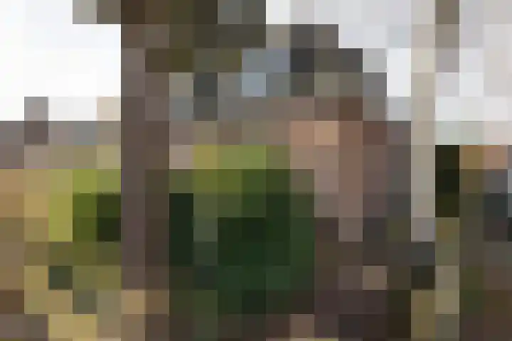 Lansinkweg 10 Hengelo thumbnail 28