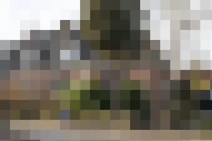 Lansinkweg 10 Hengelo thumbnail 29