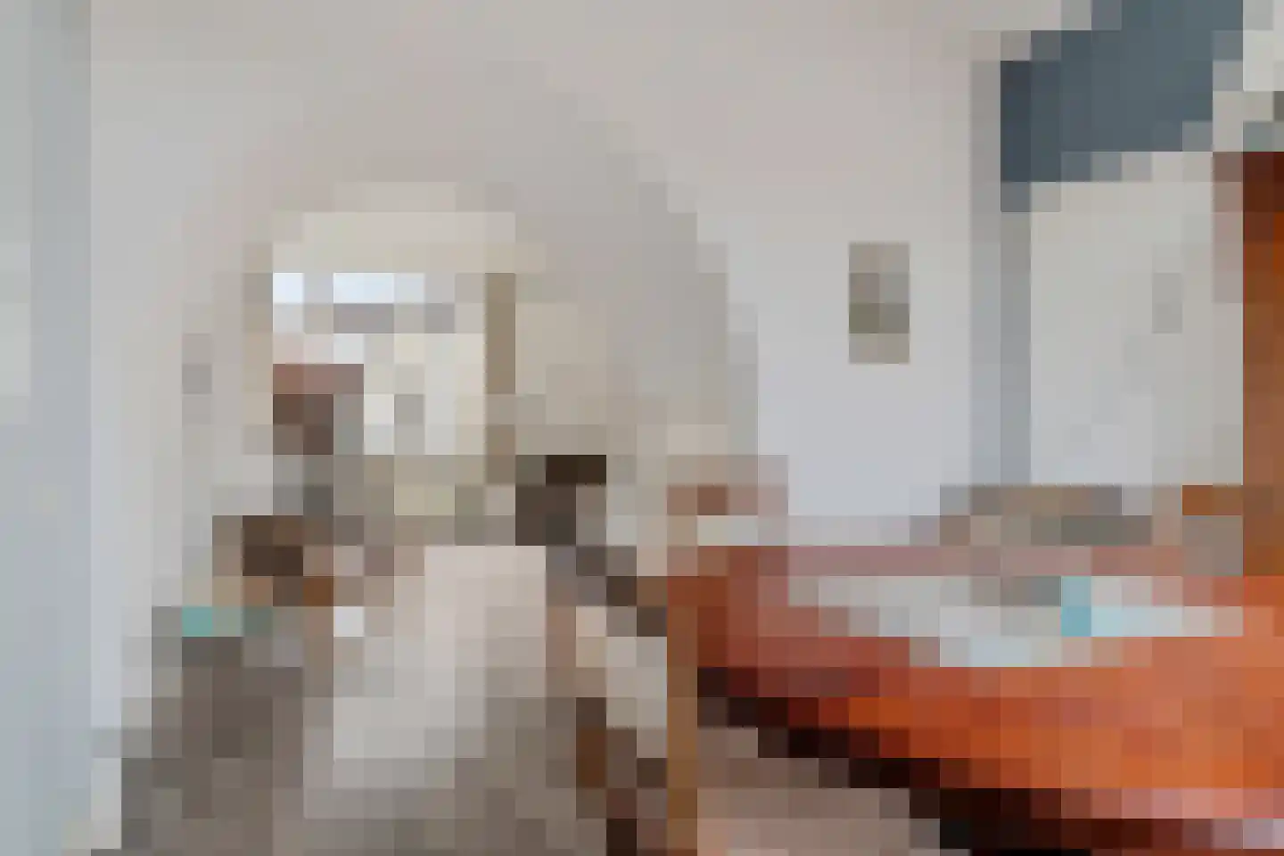 Lansinkweg 12 Hengelo thumbnail 11