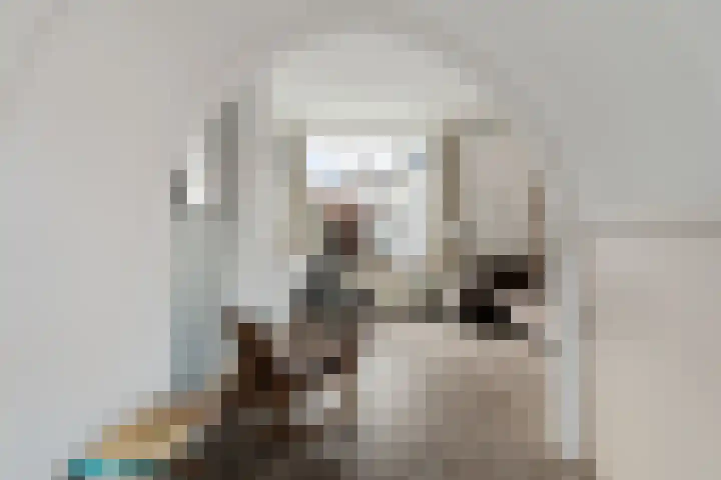 Lansinkweg 12 Hengelo thumbnail 20