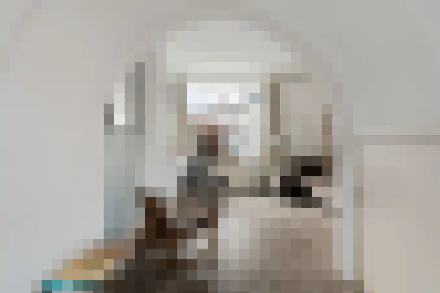 Lansinkweg 12 Hengelo thumbnail 20