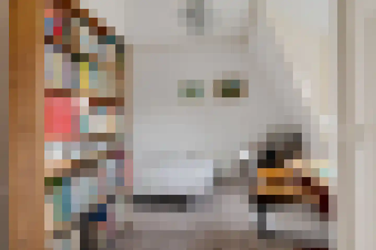 Lansinkweg 12 Hengelo thumbnail 26