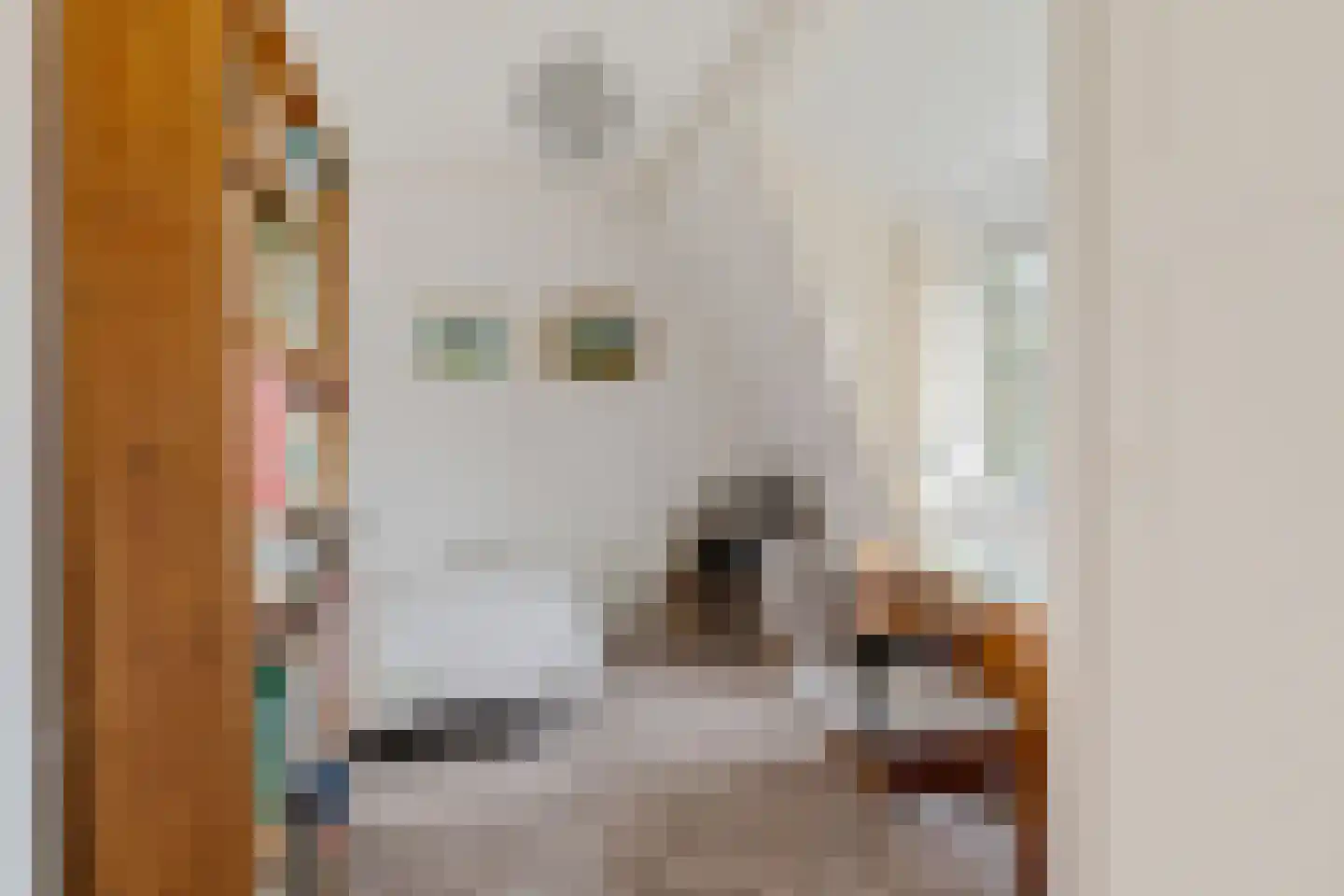 Lansinkweg 12 Hengelo thumbnail 27