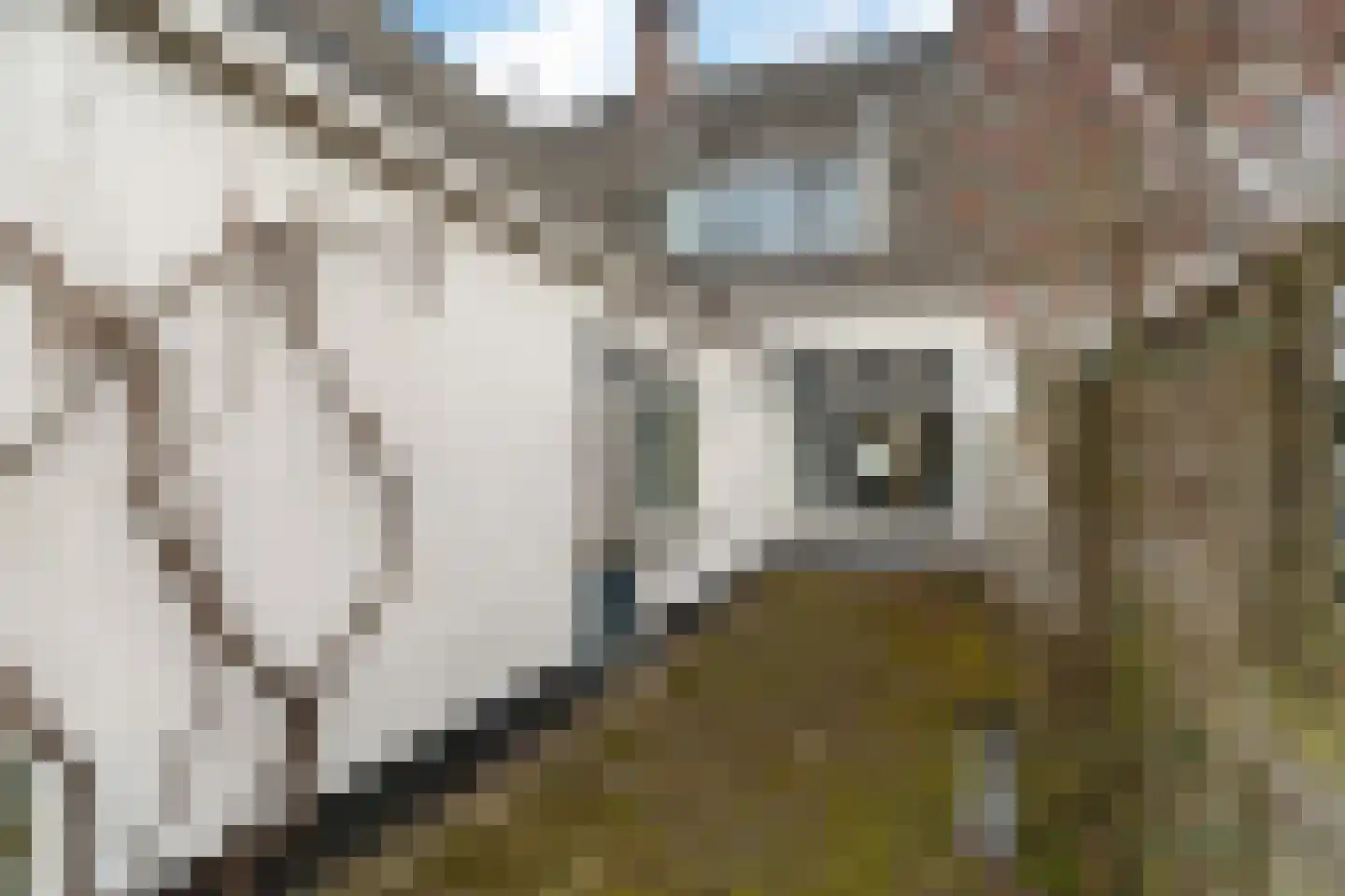 Lansinkweg 12 Hengelo thumbnail 32