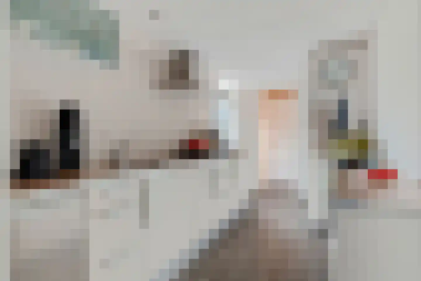 Lansinkweg 12 Hengelo thumbnail 4