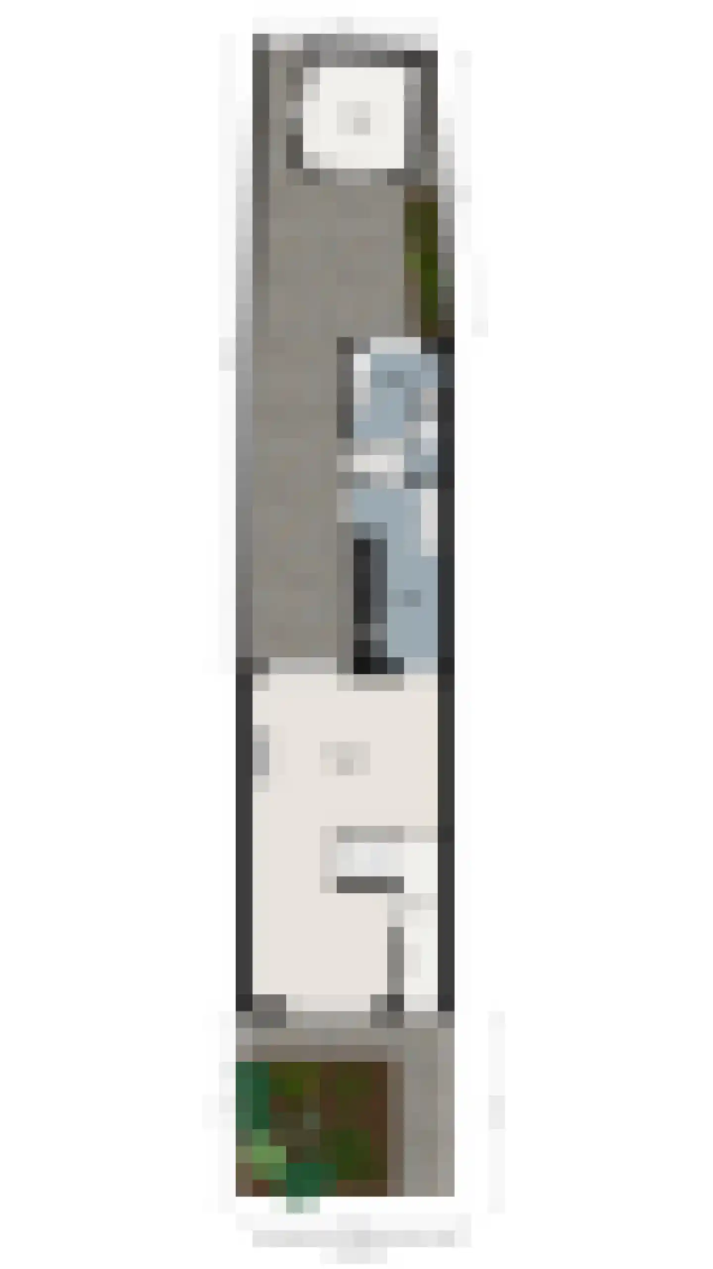 Lansinkweg 12 Hengelo thumbnail 46