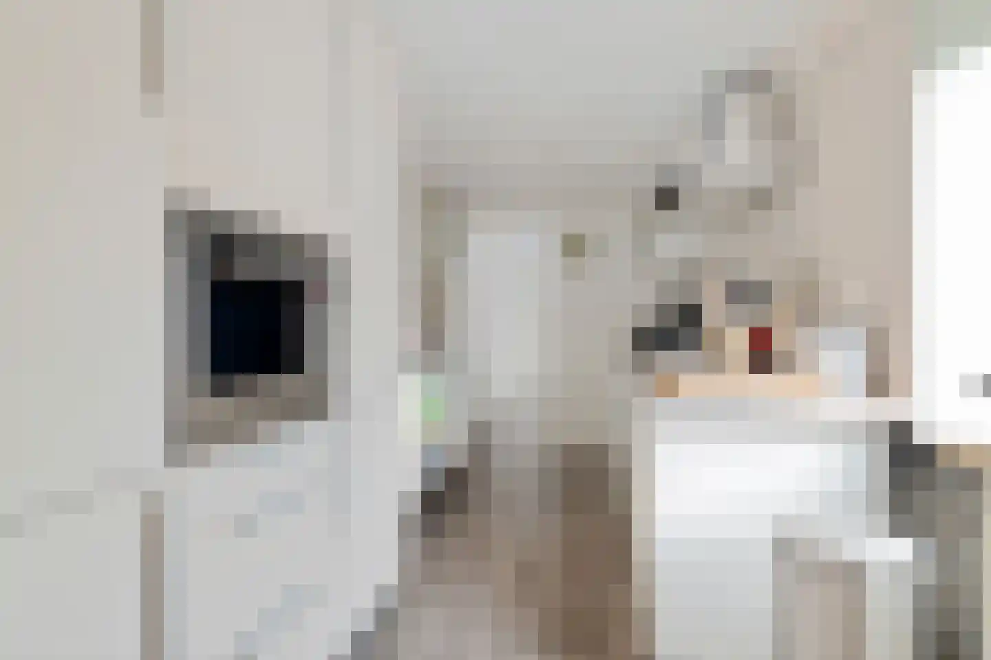 Lansinkweg 12 Hengelo thumbnail 6