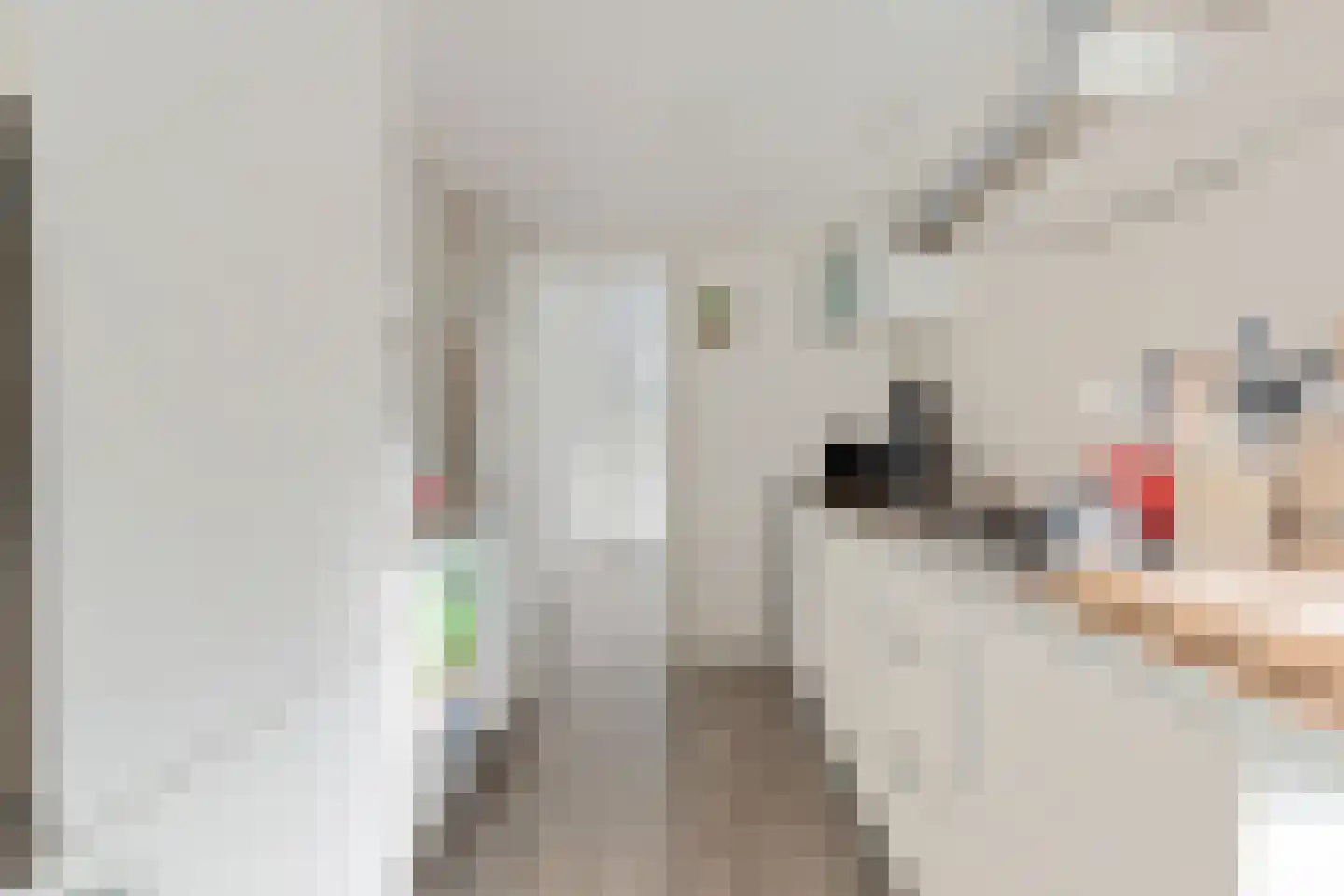 Lansinkweg 12 Hengelo thumbnail 7