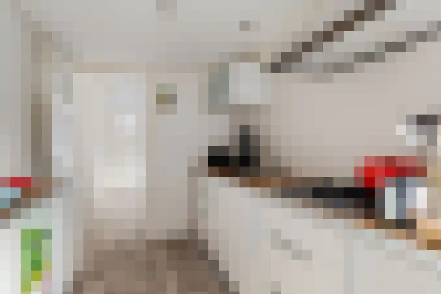 Lansinkweg 12 Hengelo thumbnail 8