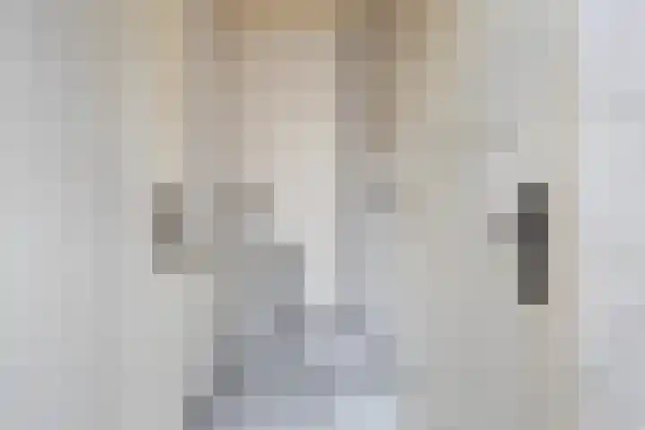Lansinkweg 18 Hengelo thumbnail 16