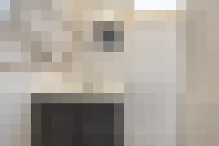 Lansinkweg 18 Hengelo thumbnail 18