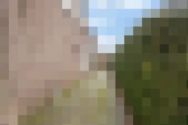 Lansinkweg 18 Hengelo thumbnail 19