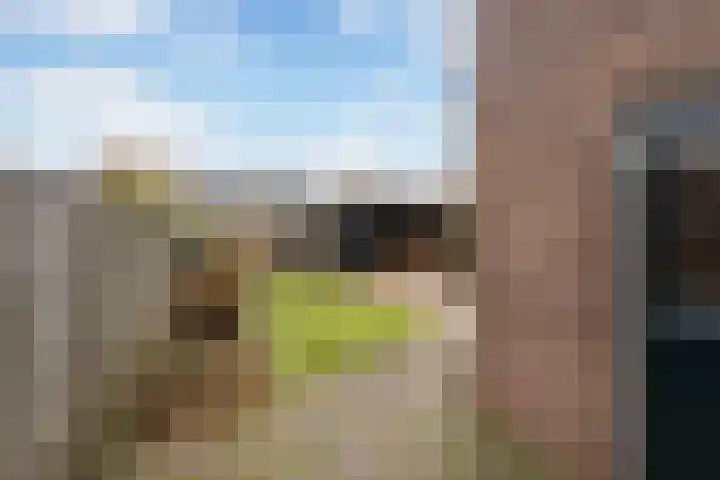 Lansinkweg 18 Hengelo thumbnail 20