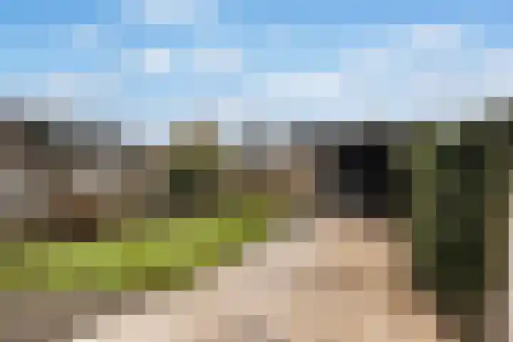 Lansinkweg 18 Hengelo thumbnail 22