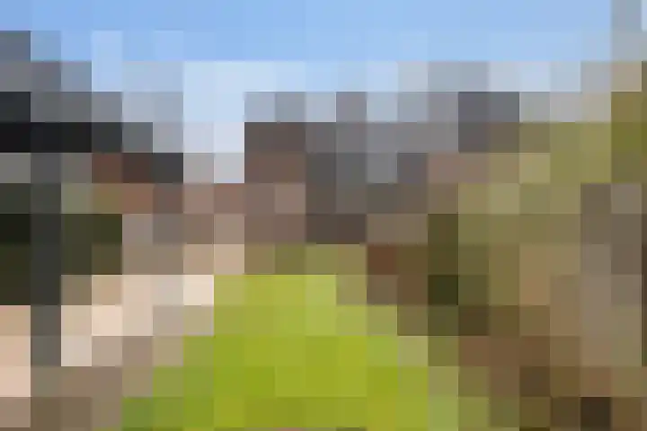 Lansinkweg 18 Hengelo thumbnail 23