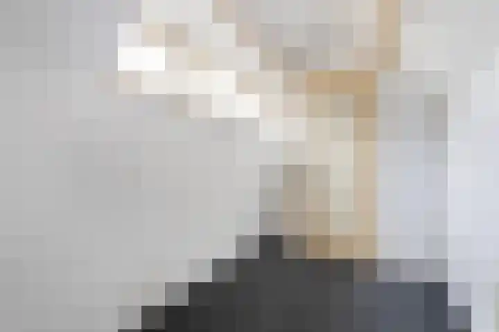 Lansinkweg 18 Hengelo thumbnail 31