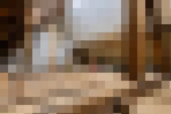 Lansinkweg 18 Hengelo thumbnail 33