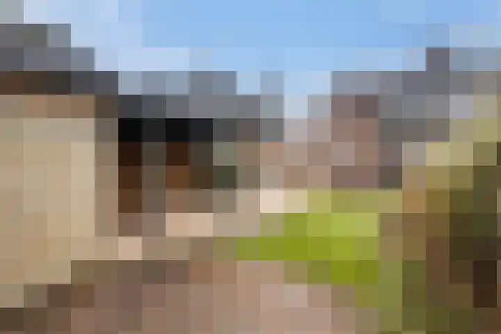 Lansinkweg 18 Hengelo thumbnail 4