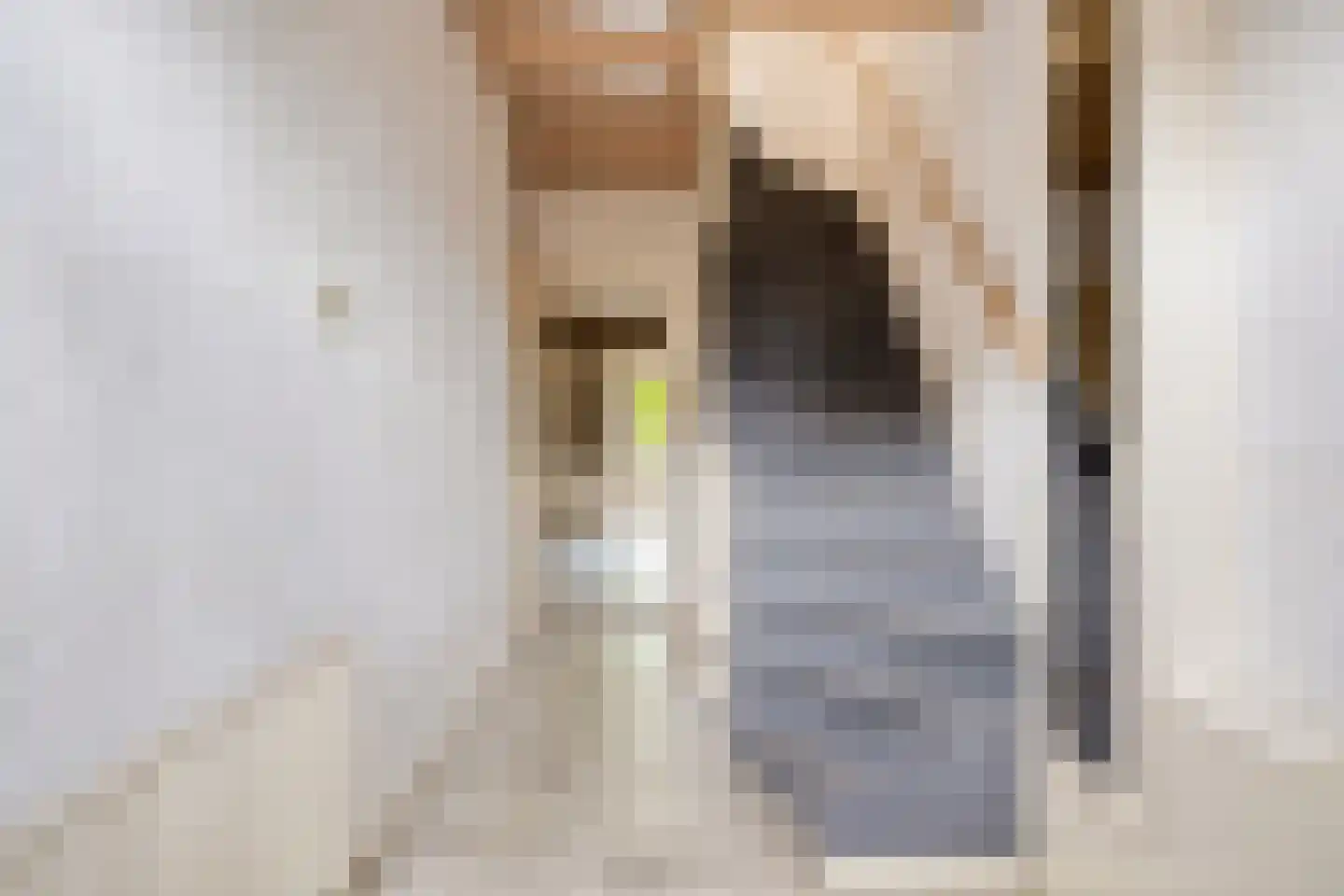 Lansinkweg 25 Hengelo thumbnail 11