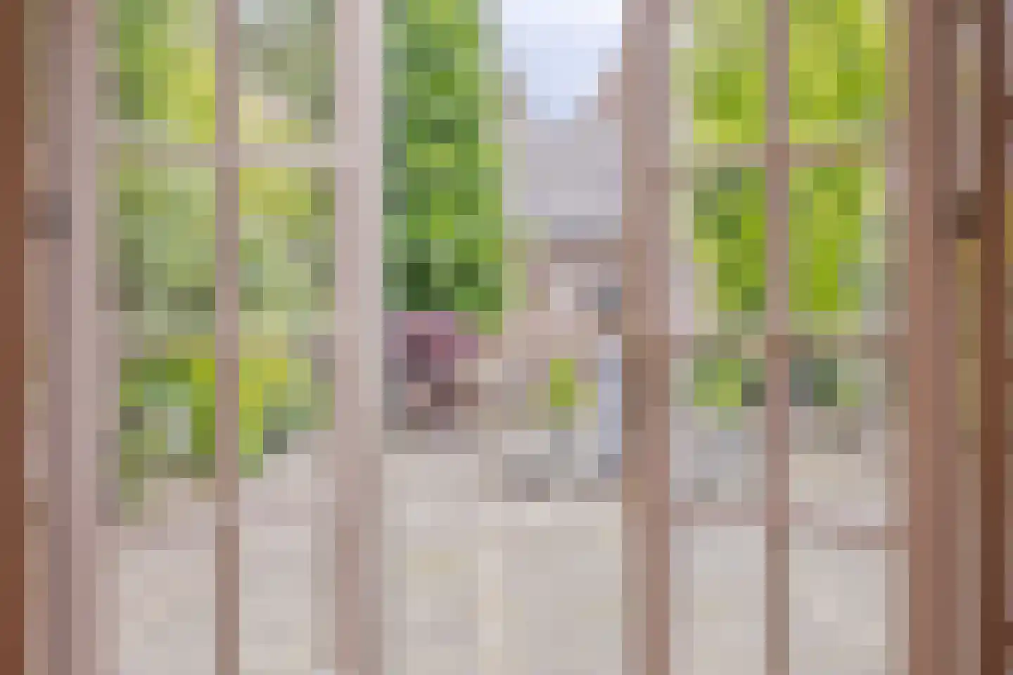 Lansinkweg 25 Hengelo thumbnail 22
