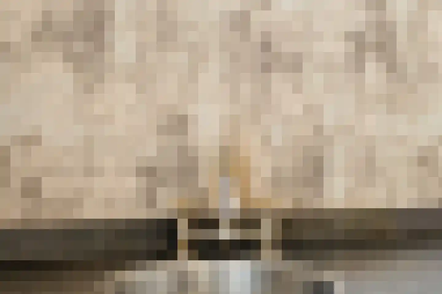 Lansinkweg 25 Hengelo thumbnail 27