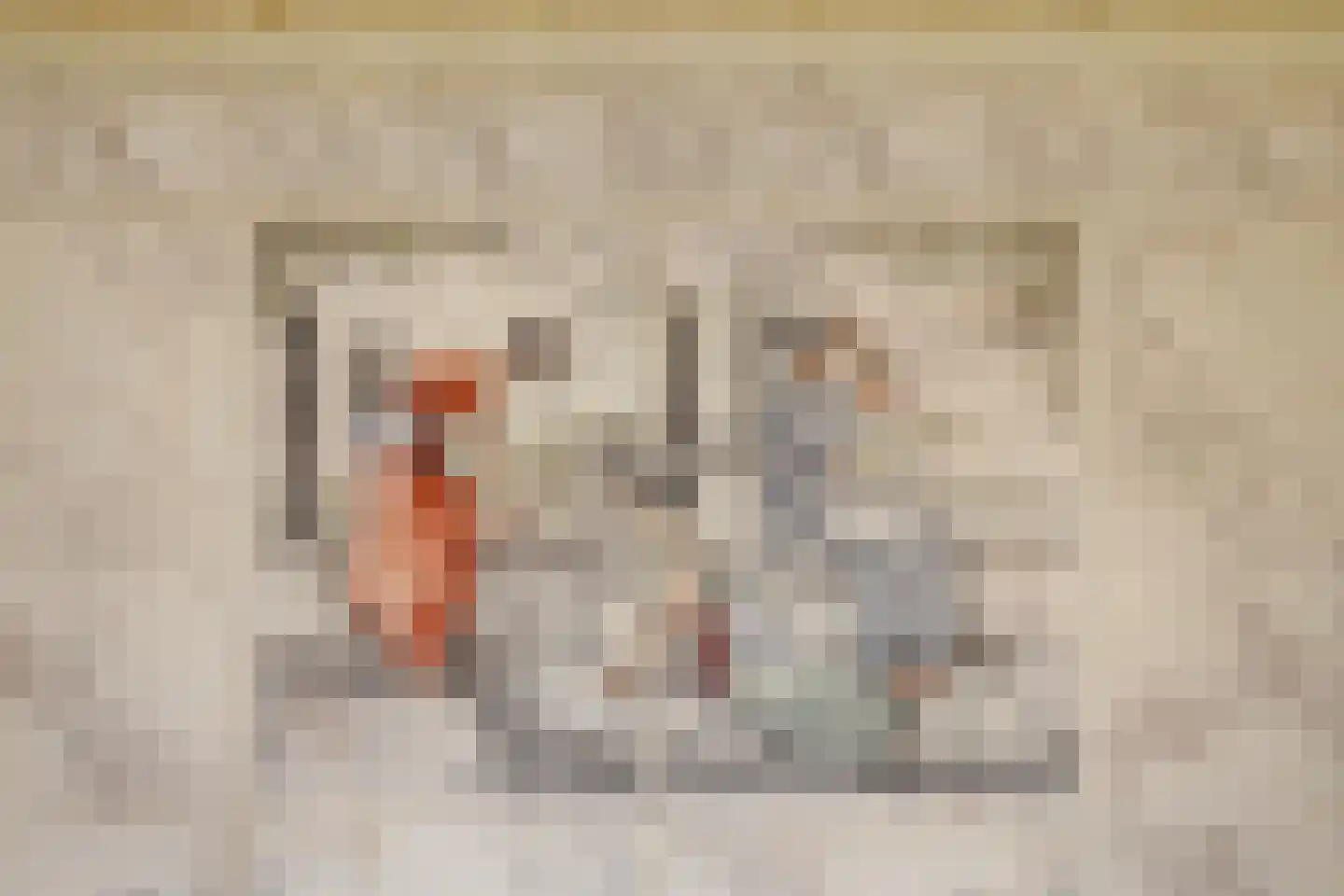Lansinkweg 25 Hengelo thumbnail 37