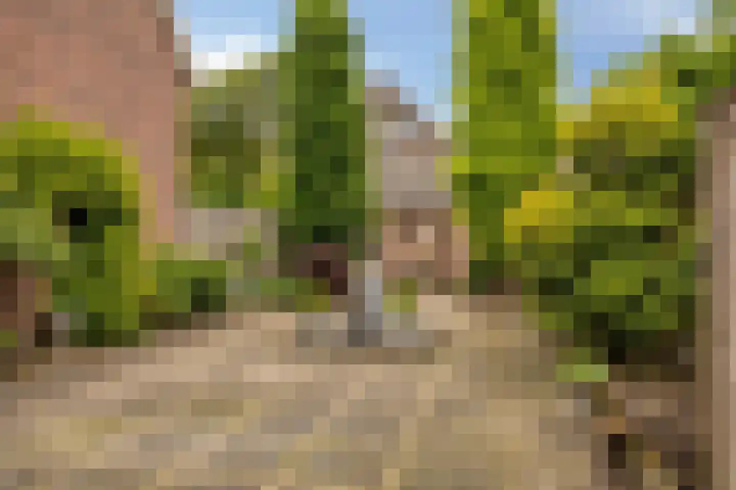 Lansinkweg 25 Hengelo thumbnail 47