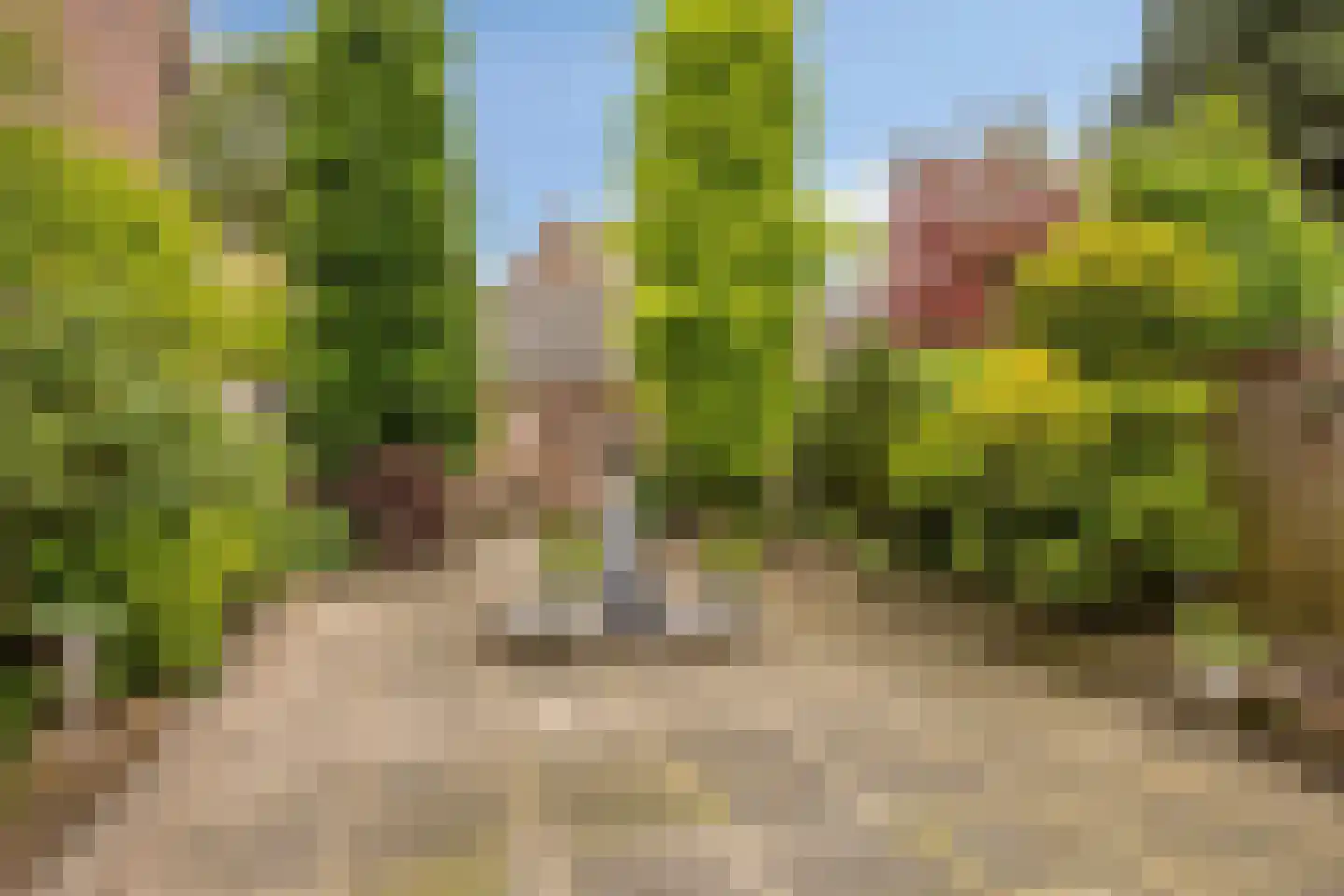 Lansinkweg 25 Hengelo thumbnail 48