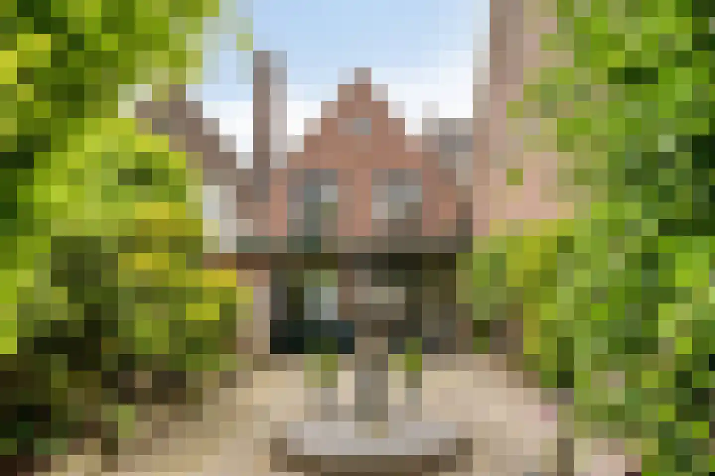 Lansinkweg 25 Hengelo thumbnail 53