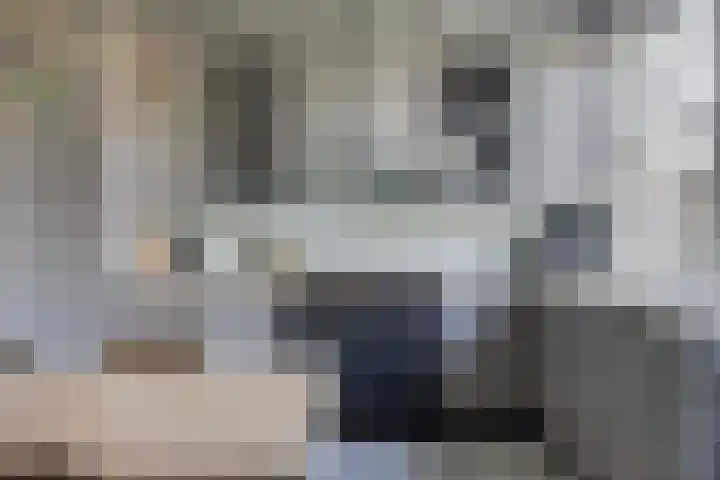 Lansinkweg 37 Hengelo thumbnail 21
