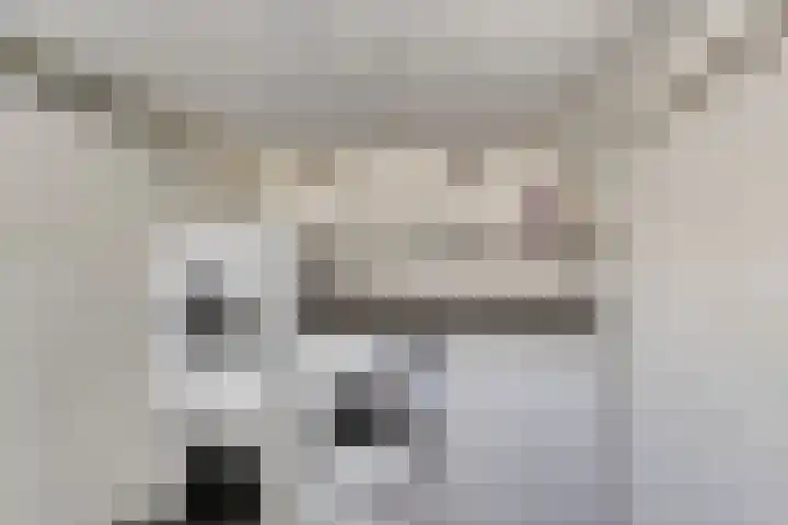 Lansinkweg 37 Hengelo thumbnail 26