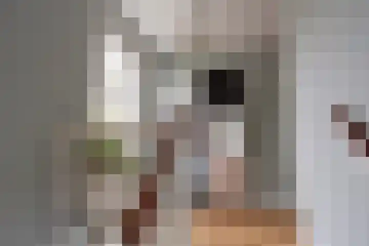 Lansinkweg 37 Hengelo thumbnail 29