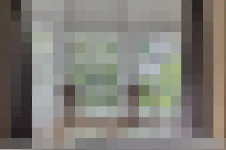 Lansinkweg 37 Hengelo thumbnail 33