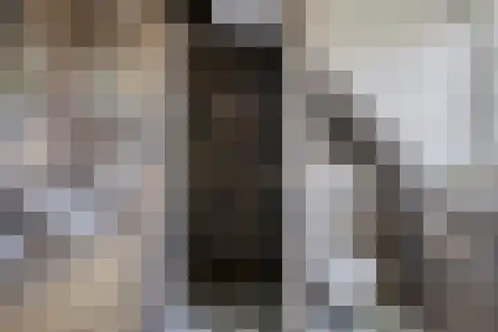 Lansinkweg 37 Hengelo thumbnail 34