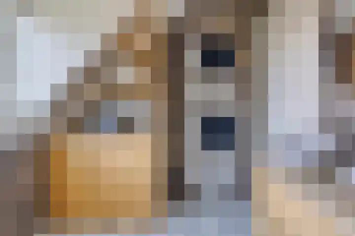 Lansinkweg 37 Hengelo thumbnail 35
