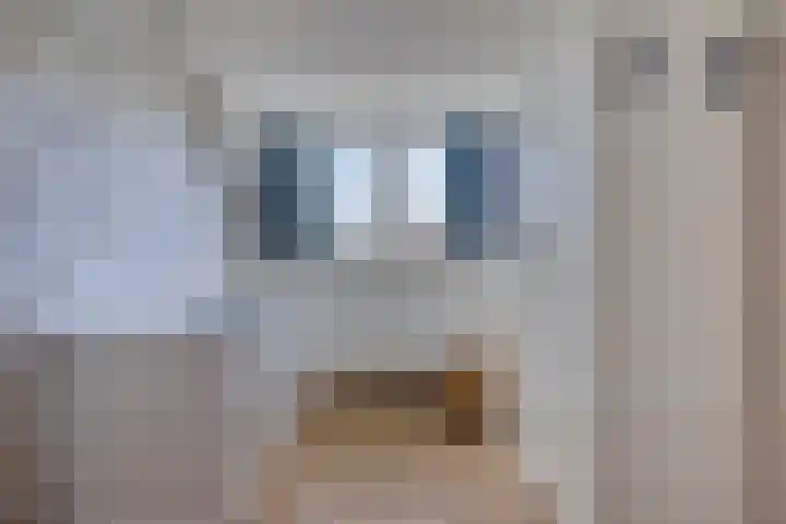 Lansinkweg 37 Hengelo thumbnail 38
