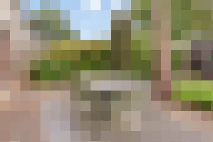 Lansinkweg 37 Hengelo thumbnail 40