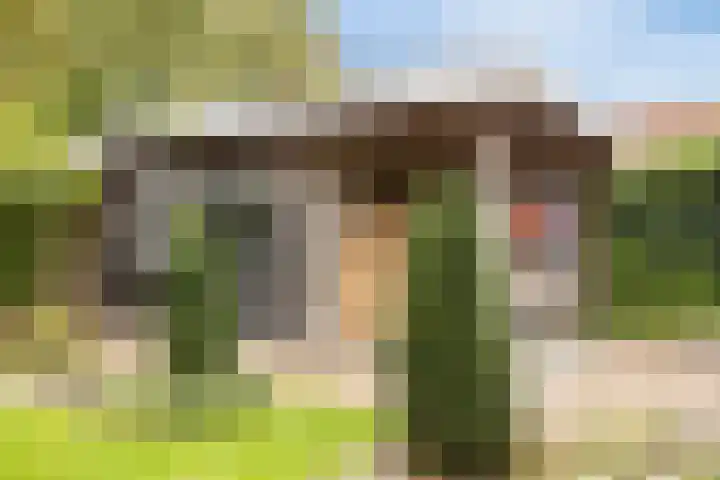 Lansinkweg 37 Hengelo thumbnail 42