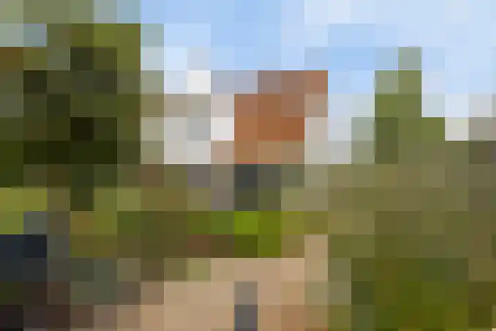 Lansinkweg 37 Hengelo thumbnail 45