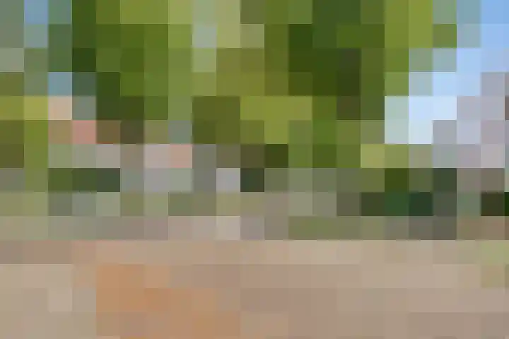 Lansinkweg 37 Hengelo thumbnail 47