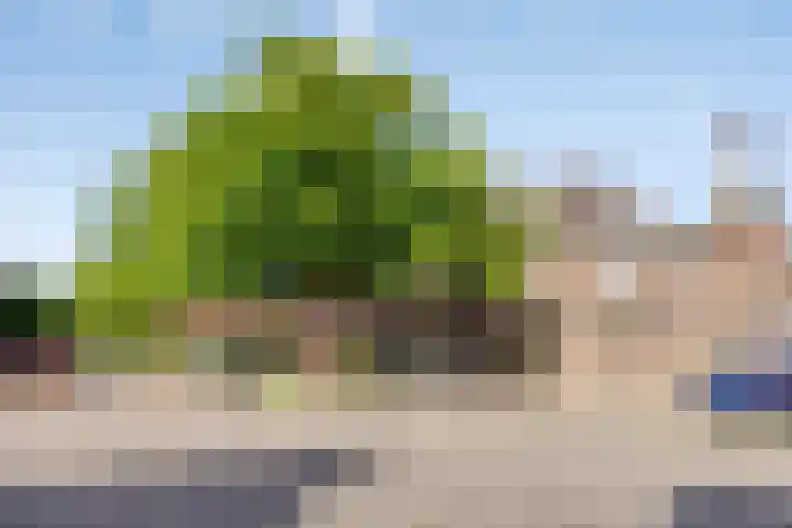 Lansinkweg 37 Hengelo thumbnail 48