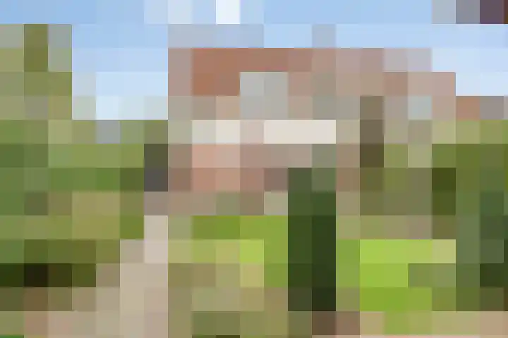 Lansinkweg 37 Hengelo thumbnail 5