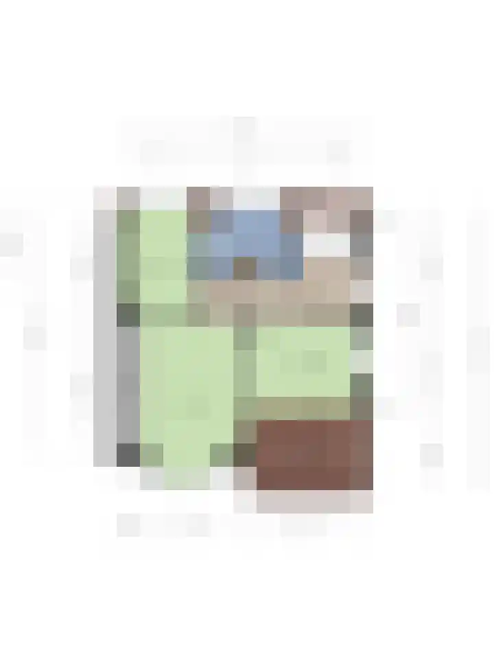 Lansinkweg 37 Hengelo thumbnail 51